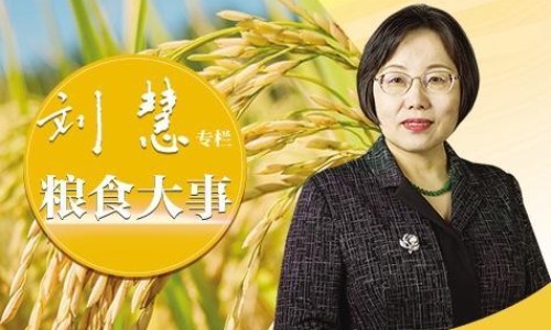 甲硝唑搽剂-甲硝锉搽剂的作用与功效网 | 甲硝锉抹剂,甲硝锉搽剂的作用与功效图片